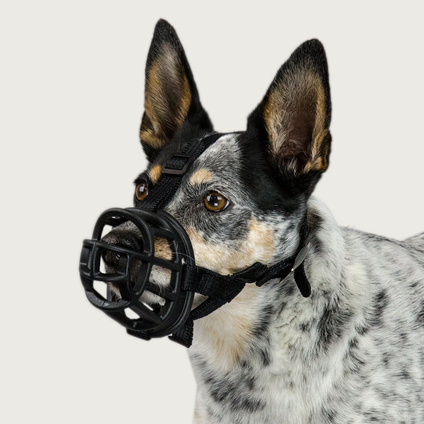 Baskerville Ultra Dog Muzzle