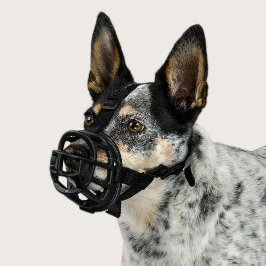 Baskerville Ultra Dog Muzzle