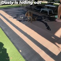 5m x 2.4m Camping Mat