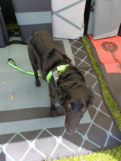 1.8m x 1.8m Camping Mat