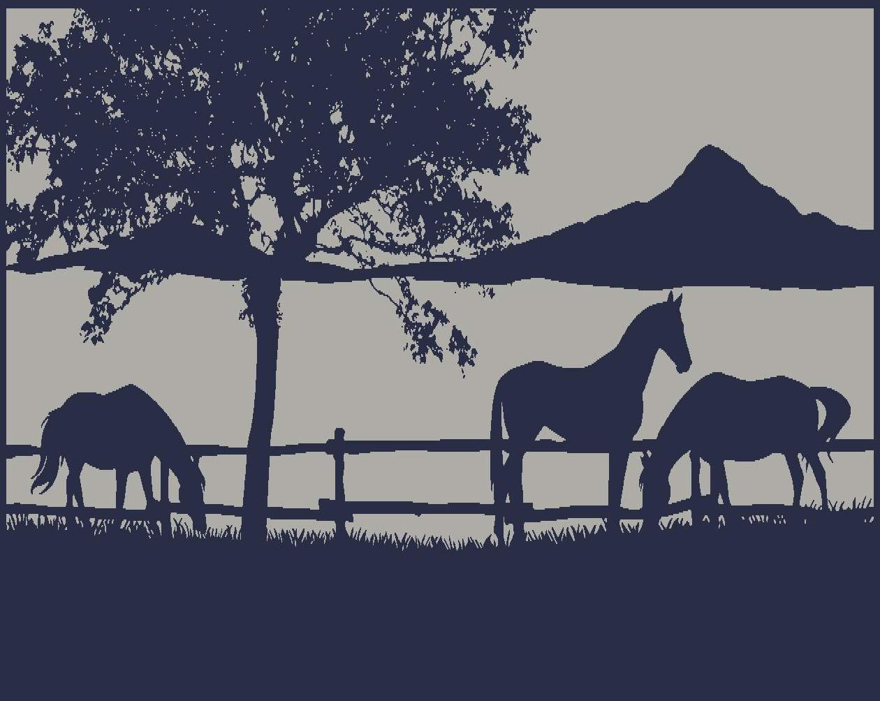 5m x 2.4m Camping Mat